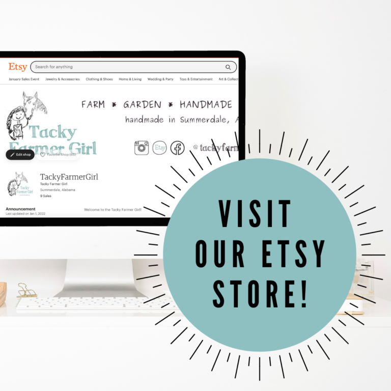 Come visit our Reopened Etsy Store!